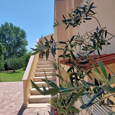 Novouredeni Apartman Marko Mundanije Zewnętrze zdjęcie