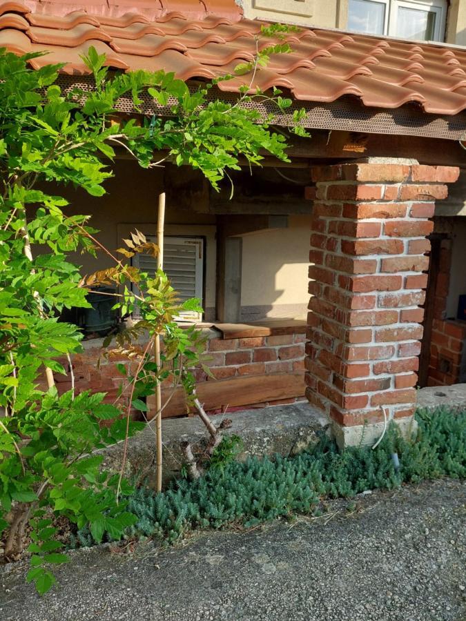 Novouredeni Apartman Marko Mundanije Zewnętrze zdjęcie