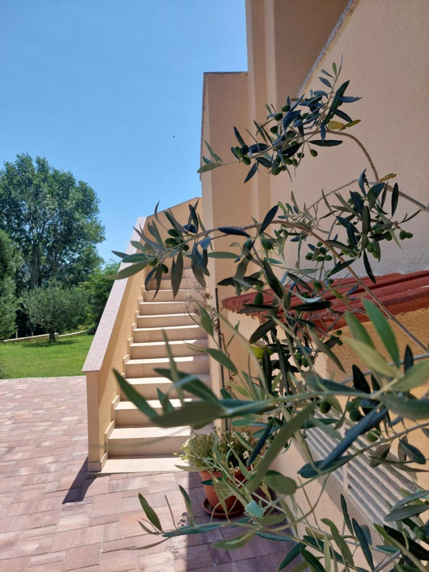 Novouredeni Apartman Marko Mundanije Zewnętrze zdjęcie